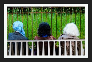 photograph courtesy of David Moscovitch