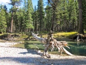Hoodoo Trail, Banff
