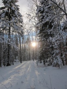 setting sun in woods, Eastern Townships