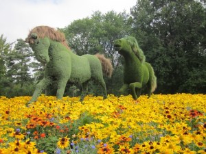 Montreal Botanical Gardens 2014