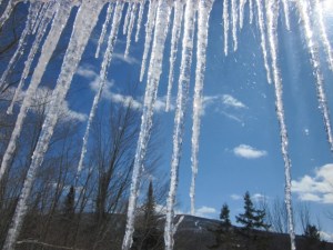 icicles