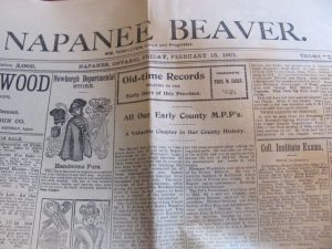 Napanee Beaver, 1901
